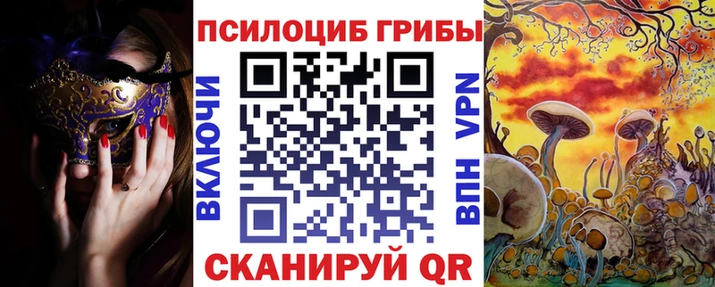 Псилоцибиновые грибы Psilocybe  ОМГ ОМГ онион  Белоозёрский 